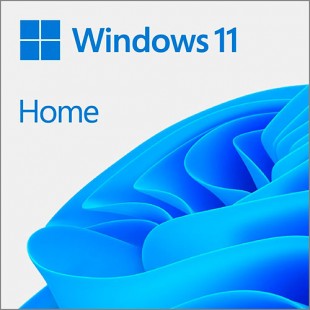 Windows 11 Домашняя 64-bit ESD