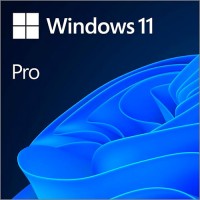 Windows 11 Професійна 64-bit ESD