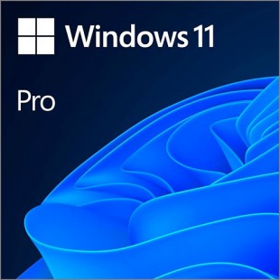 Windows 11 Профессиональная 64-bit ESD