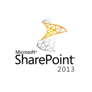 Microsoft SharePoint Standard CAL 2013 UsrCAL