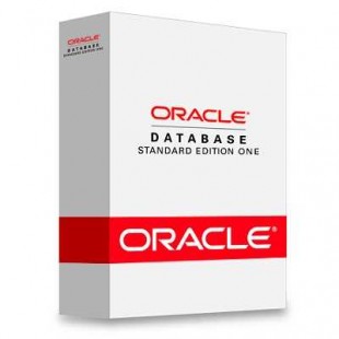 Oracle Database 11g Standard Edition One
