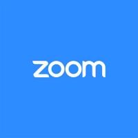Zoom Pro Профессиональный